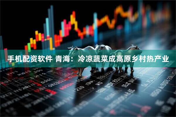手机配资软件 青海：冷凉蔬菜成高原乡村热产业